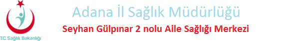 Gülpınar2 ASM